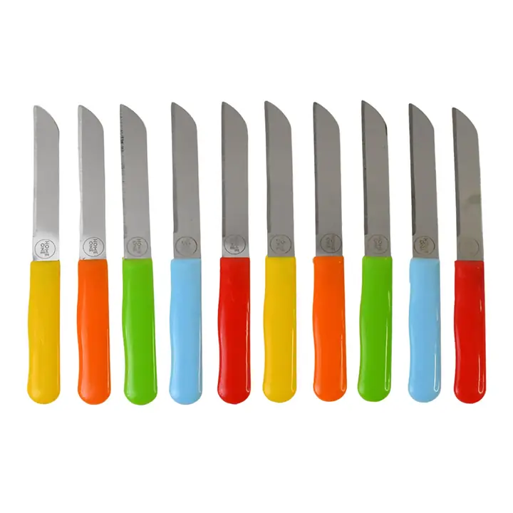 Premium Quality Stainless Steel Handle Plain Knife (10 Pc 1 Set)