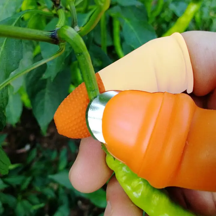 1 Pair V Thumb Cutter With Box Used In All Kinds Of Household And Official Kitchen Purposes For
