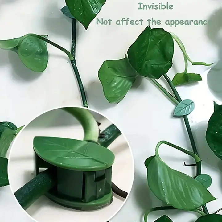 Plant Climbing Wall Fixture Clip Self-adhesive Hook Vines Traction Invisible Stand Green Plant Clip (10 Pcs Set)