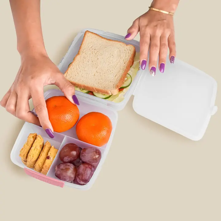 Large And 3 Small -compartment 1400 ml Multipurpose Lunch Box (1400 ml 1 Pc)