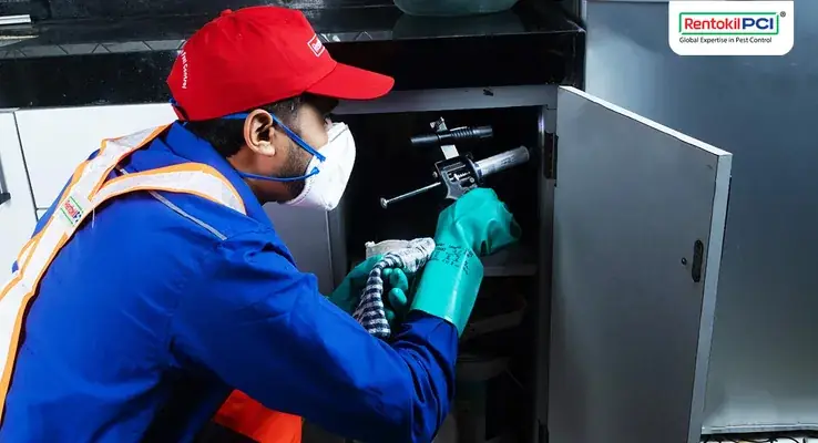 Rentokil Pci Pest Control Service — Home & Services in Kozhikode