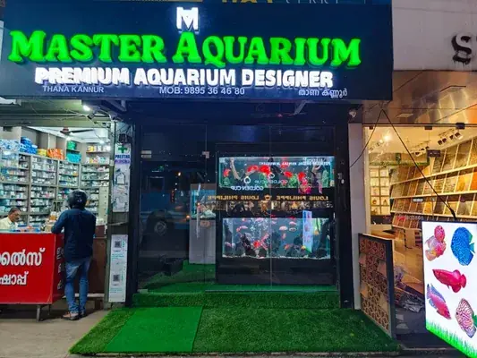 Master Aquarium — Pet Services in Kannur
