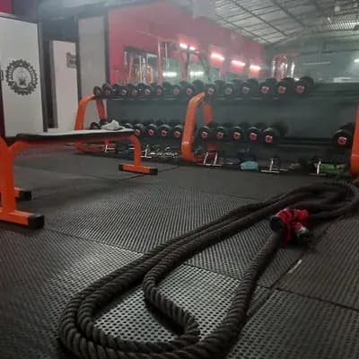 Muscle Factory Gym logo