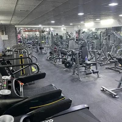 Alien Gym logo