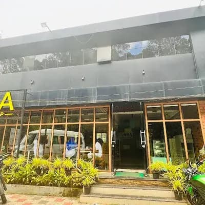 Sora Grill & Gossip | Thekkady logo