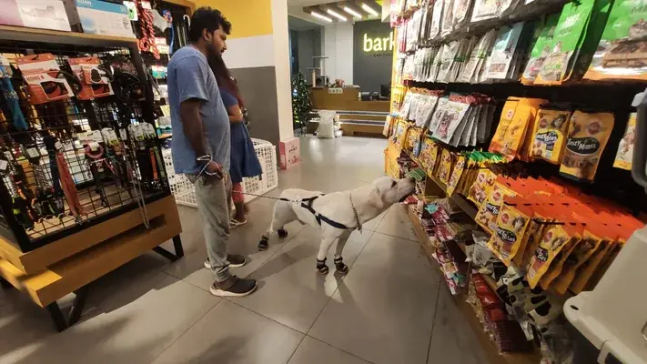Barkode Pet Hypermarket And Grooming Studio — Pet Services in Thiruvananthapuram