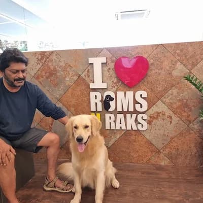 Roms N Raks logo