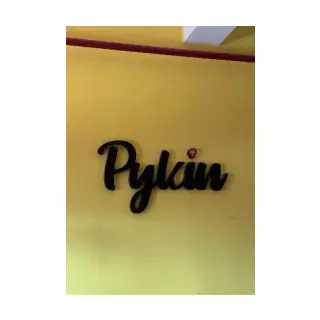 Pykin Online Ventures logo