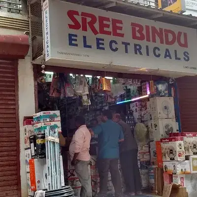 Sree Bindhu Electricals logo