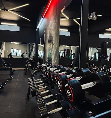 Blackbird Fitness logo