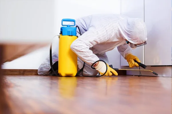 Pestend Pest Control Calicut — Home & Services in Kozhikode