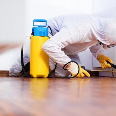 Pestend Pest Control Calicut logo