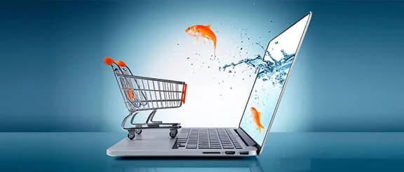 BlackSouq — Online Stores in Kannur