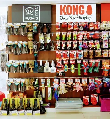 Roms N Raks Pet Hypermarket And Grooming Studio — Pet Services in Ernakulam
