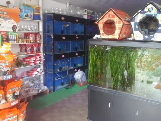 Pets In The City — Pet Services in Kochi, Ernakulam