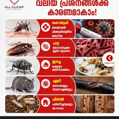 All Clear Pest Control Services logo