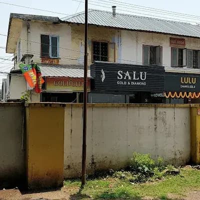 Salu Gold logo