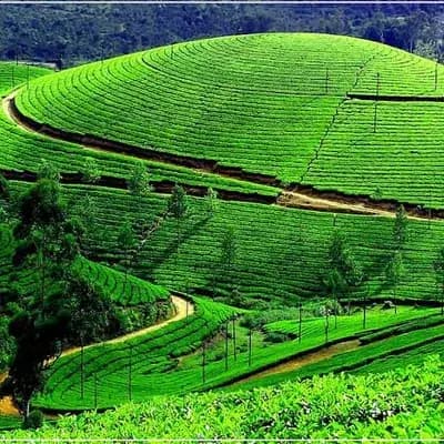 Happy Tours And Travels Munnar logo