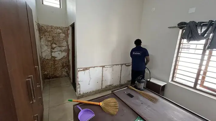Pest Perfect Control — Home & Services in Kochi, Ernakulam