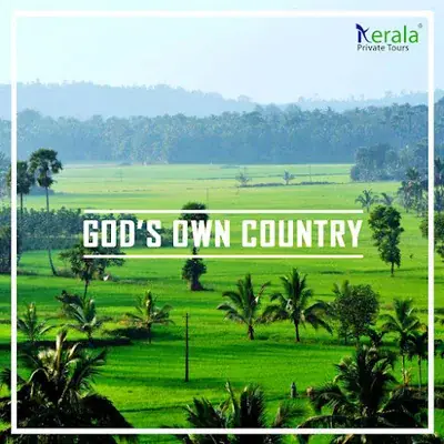 Kerala Private Tours | Munnar Private Tours | Thekkady Private Tours logo