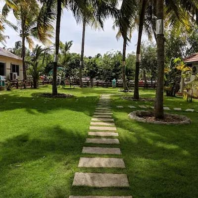 Regant Lake Palace Cottages logo