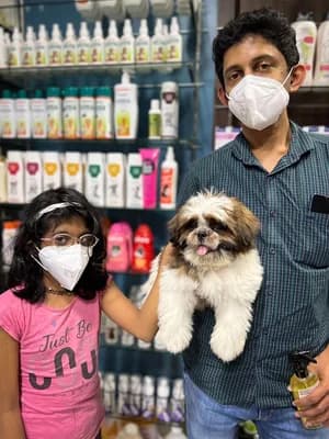 Roms N Raks Pet Hypermarket And Grooming Studio — Grocery & Supermarket in Kochi, Ernakulam