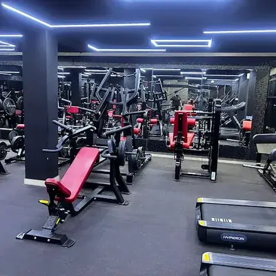 Downtown Fitness Kochi logo