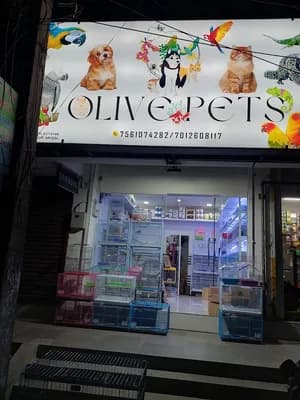 Olive Pets And Aquirium — Pet Services in Kottayam