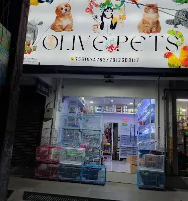 Olive Pets And Aquirium logo