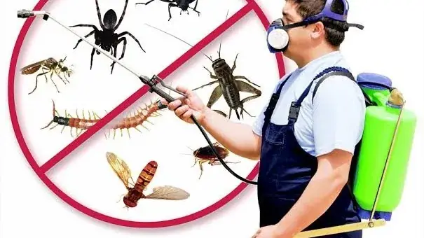 Italian | Pest Control Services Thiruvanthapuram — Home & Services in Thiruvananthapuram