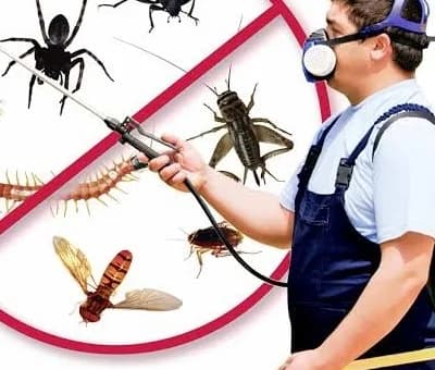 Italian | Pest Control Services Thiruvanthapuram logo