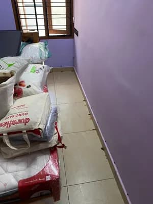 Onguard Pest Controls — Home & Services in Thiruvananthapuram