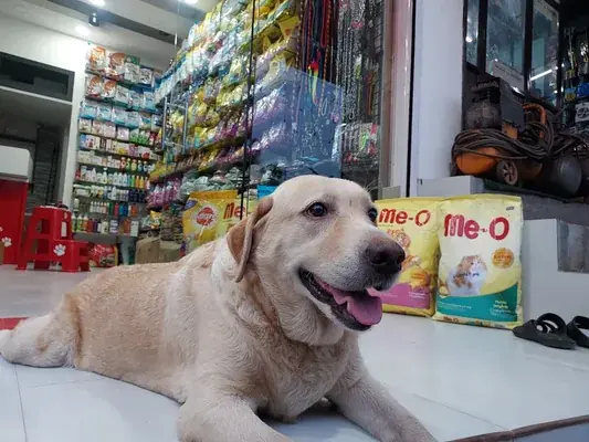 Pets Pantry — Pet Services in Kottayam