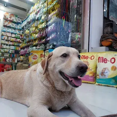 Pets Pantry logo