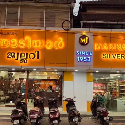 Mannadiar Silver And Gems logo