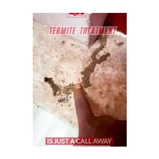 Best Pest Control — Home & Services in Thrissur