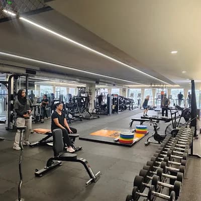 Ark Fitness Chevayur logo