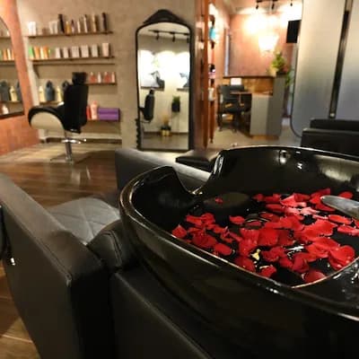 Adore Ladies Salon And Spa logo