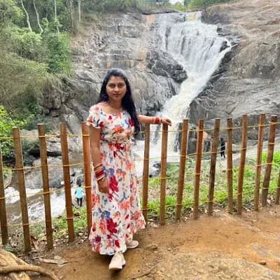 No Q Services Holidays And Travels Wayanad logo