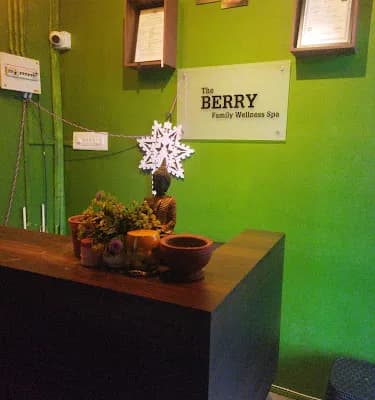 Berry Wellness Spa West Fort Thrissur logo