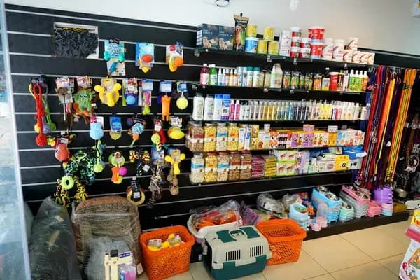 Pets Cart — Pet Services in Kochi, Ernakulam