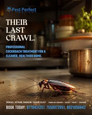 Pest Perfect Control — Home & Services in Kozhikode